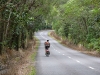 Daintree area