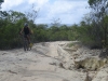 Mark on the Frenchmans Road