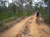 Gaye on the Frenchmans Road