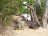 Lunch Stop at Wenlock River