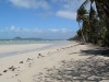 Chilli Beach. Iron Range NP