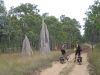 Ed and Mark on the Overland Telegraph Track