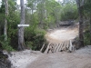 Cypress Creek Bridge