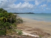 p1090823-frangipani-beach-cape-york-tip