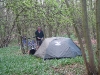 Camping in a forest first day out of London