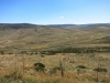 Near the Link Road to Cabramurra