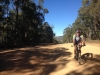 Climbing the Boboyan Road