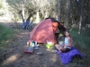 Olive grove camp in Spain