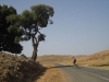 Wide open spaces up high in the Middle Atlas mountains