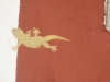 A skink on the toilet block, Morocco