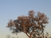 Nothing to do but watch the moon over our bush camp