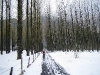 Bike Path - Lausanne to Brig, Switzerland