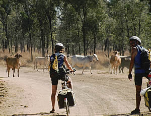 Waiting for pedestrians to cross