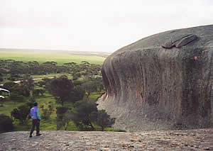 Pildappa Rock (near Poochera)