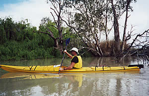 Kayaking on the Murray tributaries. Berri