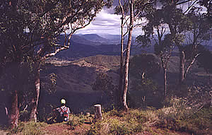 Lamington National Park, QLD