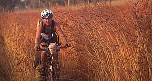 Heading north on the Kalumburu Road