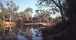 Camping on the Gibb River