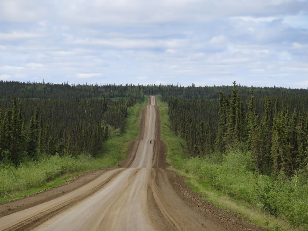 and freewheeled down, the roller coaster hills of the boreal forest,