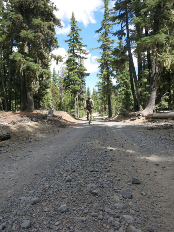 and endless kilometres of narrow forest lined roads