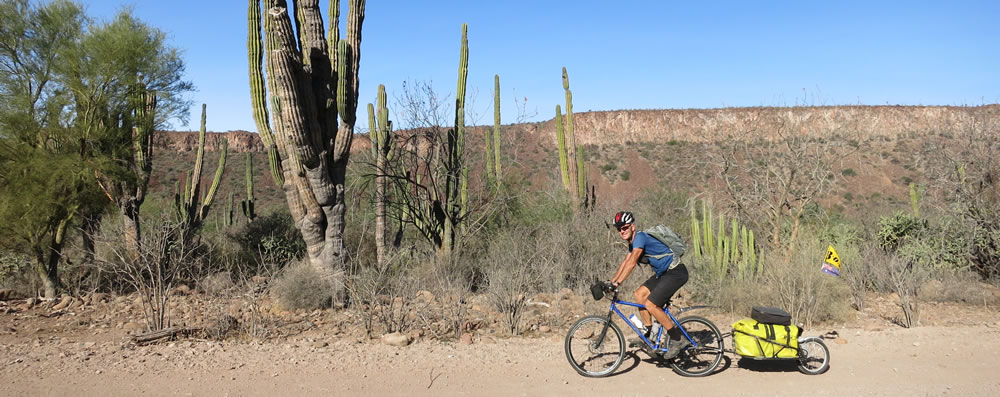 Mexico – A very Baja Christmas