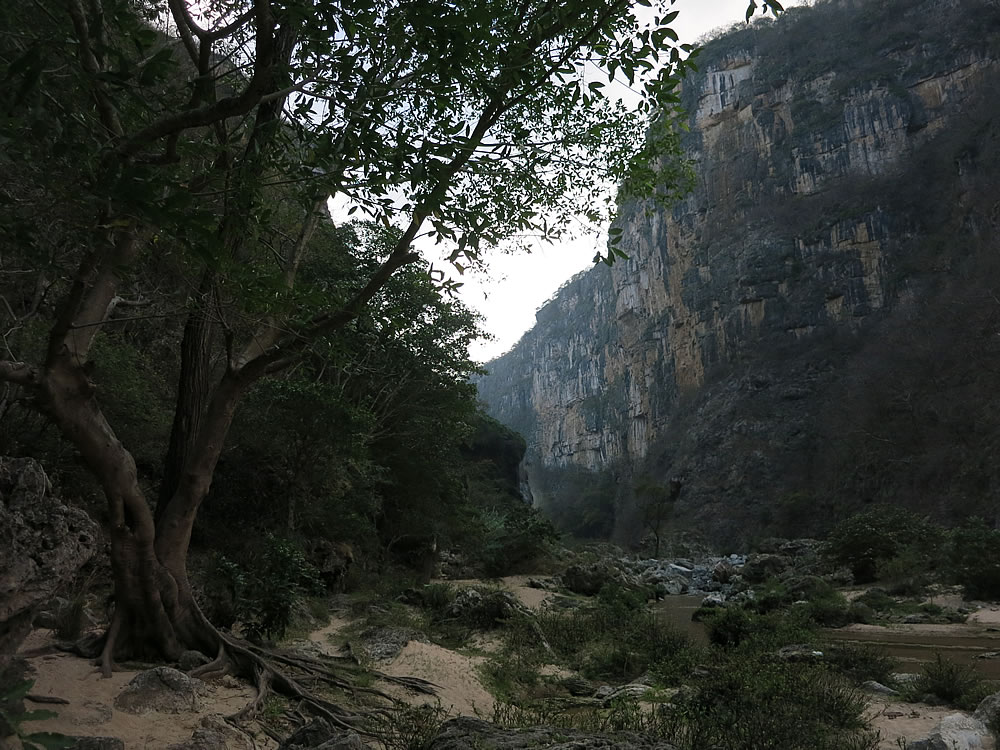 Descend around 800 steps and you can explore the canyon, river and Cascada de Aguacera waterfall