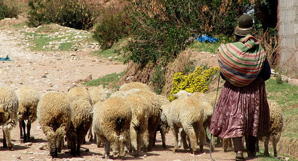 Video: Peru Part 2 – The road to ruin(s)