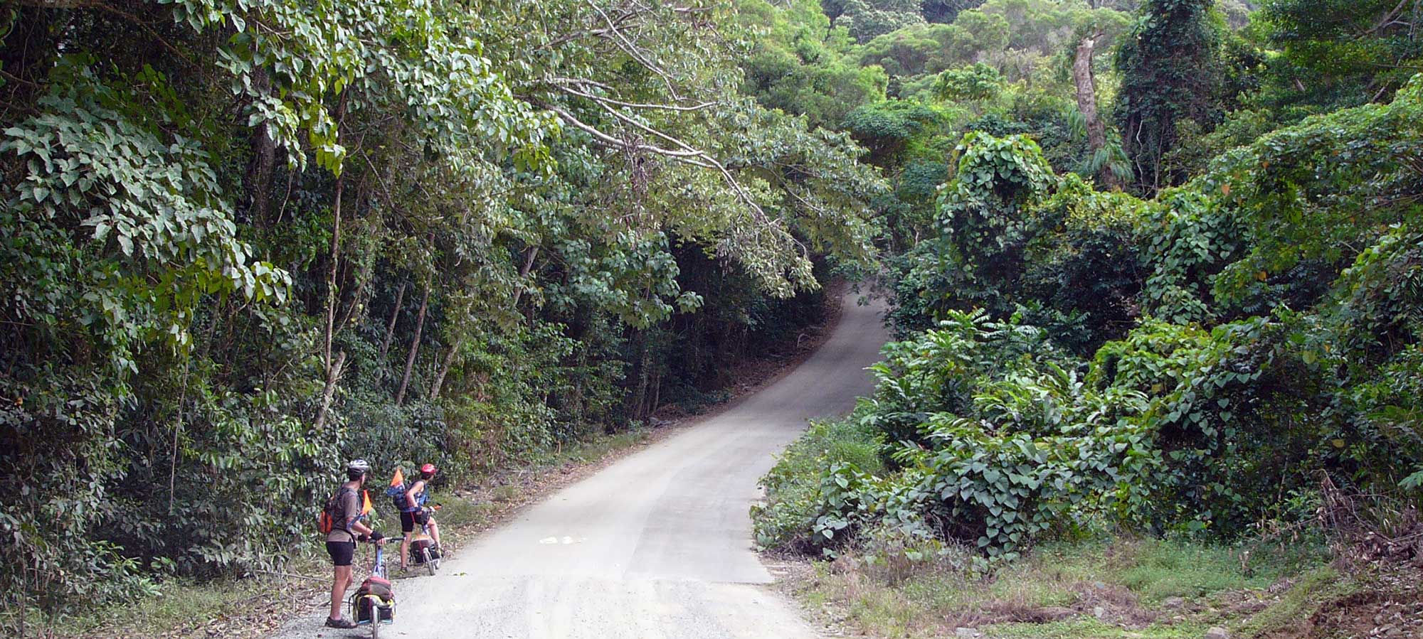 Daintree